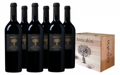 Antica Viti Edizione Numero Uno Vino Rosso Weinkiste
