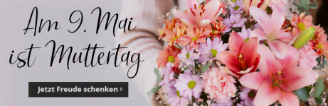 Blumen zum Muttertag: 6€ Gutschein auf alles bei Valentins