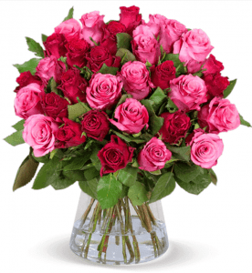 Blume Ideal: 41 rot-pinke Rosen 
