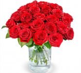 33 Red Naomi Rosen mit XXL Blütenkopf für 27,98 € inkl. Versand 🌹