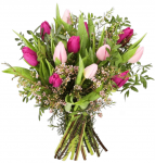 Blumenstrauß Tulpenliebe für 25,98 € inkl. Versand (statt 31,78 €)