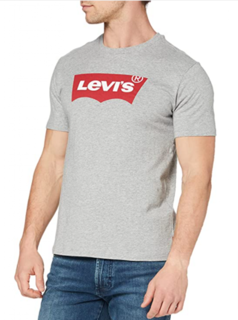 Levi's Graphic Set-in Neck Herren T-Shirt