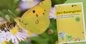 Aktion Bienengarten Umweltinstitut Muenchen