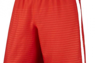 Nike Max Graphic Fussballshorts e1648151314394