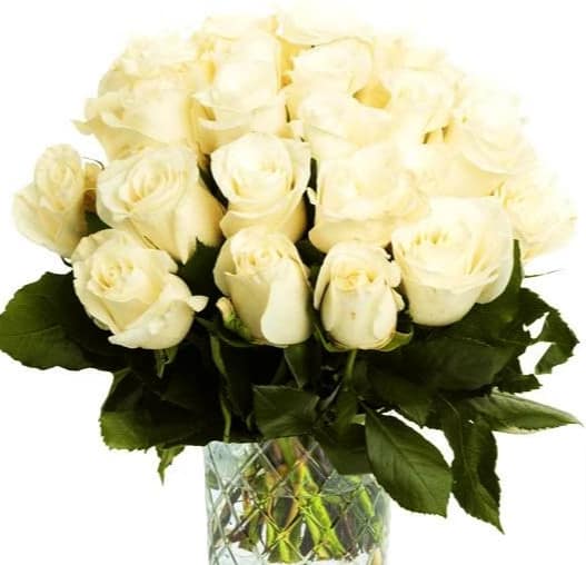 50 Weisse Rosen Online Bestellen Blumeideal De