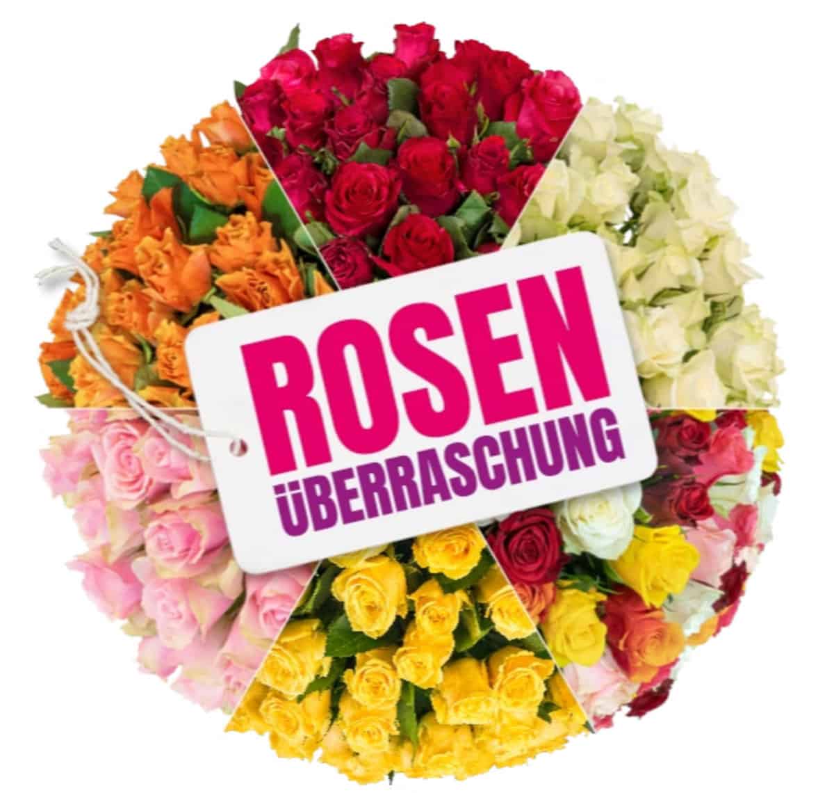 Rosenüberraschung Im Angebot Mit 41 Rosen ► Blumeideal.de