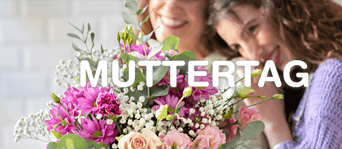 Blume2000: Blumen zum Muttertag Versandkostenfrei (MBW 19,99 €)