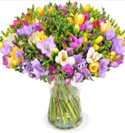 Blumenstrauss Mit 50 Freesien Und 400 Blueten ► Blumeideal De