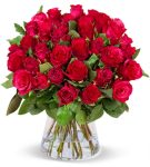 50 rote Rosen XXL (40cm) für 27,98 € inkl. Versand🌹