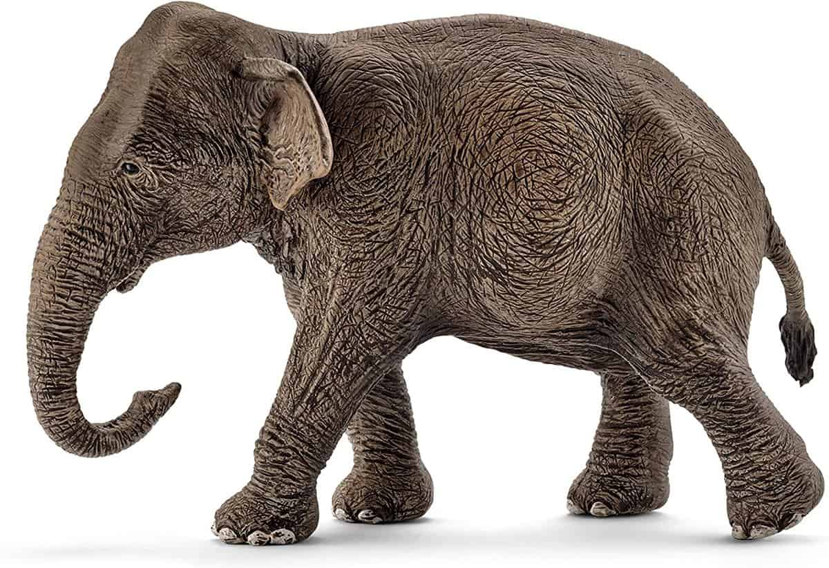 Schleich 14753 - Asiatische Elefantenkuh - für 4,99 € [Prime] statt 6,47 €