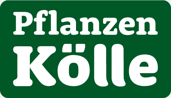 Pflanzen Koelle Logo