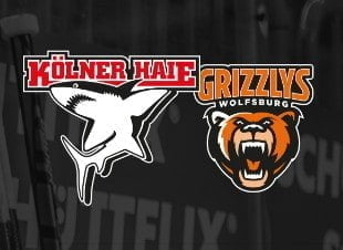 Eishockey Freikarten: Kölner Haie 🦈 vs Grizzlys Wolfsburg🐻