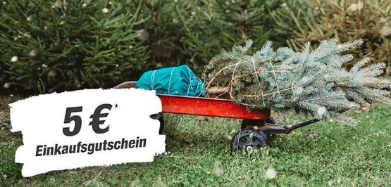 Toom 🎄5,00 €Gutschein für die TannenbaumSpitze des bei Toom gekauften