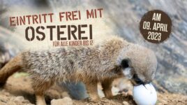 Eintritt frei mit Osterei Osteraktion Serenget Park
