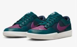 Nike SB Force Premium Skateboard Schuh. Nike DE