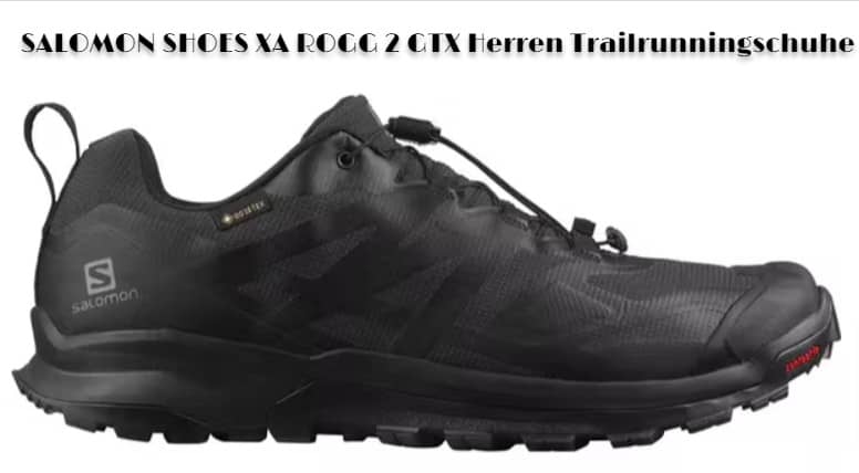 Salomon Shoes Xa Rogg Gtx Herren Trailrunningschuhe