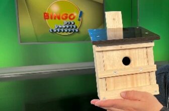 BINGO Nistkasten LOTTO Niedersachsen