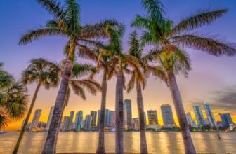 Günstige Hin- und Rückflüge mit Air Europa ab nur 316€ in Miami 🌴🛫