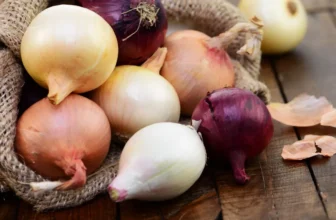 Marktguru 🧅 0,50 € Cashback auf Zwiebeln (500g Bio-Zwiebeln für effektiv 0,61 € bei Penny bis 20.09.)