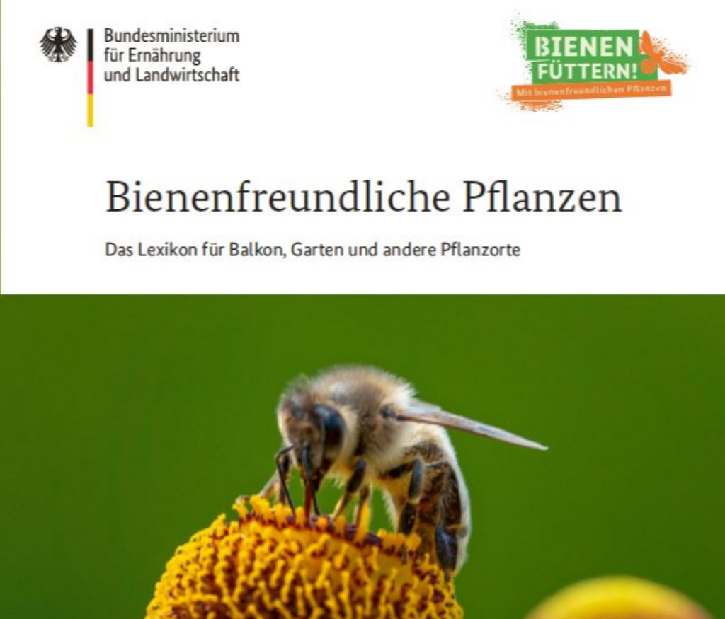 Bmel Publikationen Bienenfreundliche Pflanzen Das Lexikon Für Balkon Garten Und Andere Pflanzenorte