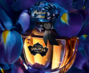 SHALIMAR MILLÉSIME IRIS