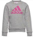 adidas Essentials Big Logo Kinder Sweatshirt IC