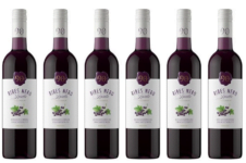 Novantaceppi Ribes Nero Spritz x l Amazon de Lebensmittel Getränke