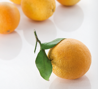 🍊 Gratis 7,5 KG Bio-Orangen in Bremen – für Selbstabholer! 🍊