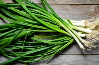 marktguru: 0,40 € Cashback auf Lauchzwiebeln (effktiv 1 Bund bei Aldi 0,04 €)