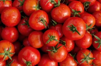 marktguru: 0,30 € Cashback auf frische Tomaten 🍅 (effektiv 650g Rispentomaten für 1,19 € bei REWE)