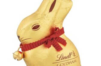 Lindt Schokolade GOLDHASE | 6 x 100 g GOLDHASE für 17,34 € inkl. Prime-Versand (statt 25,74 €)