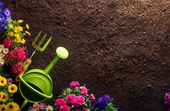 marktguru: 0,60 € Cashback auf Blumenerde (effektiv bei Kaufland für 4,39 €)