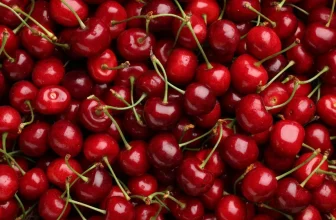 marktguru: 0,40 € Cashback auf frische Kirschen🍒 (effektiv 100g für 0,39 € bei Netto MD)
