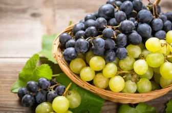 marktguru: 0,50 € Cashback auf Weintrauben (effektiv 1,89 € für 1kg Trauben bei Lidl bis 11.10.)