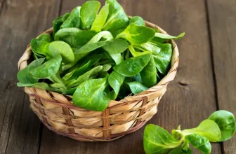 marktguru: 0,40 € Cashback auf Feldsalat