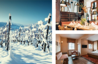 Berg's Alte Bauernschänke