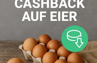 marktguru: 0,50 € Cashback auf Eier (effektiv ab morgen 8 Bio Eier für 2,49 € bei PENNY bis 18.10.)