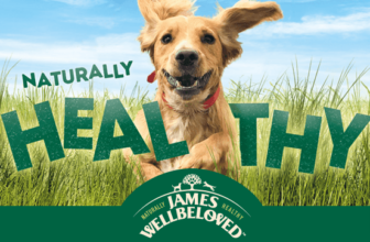 James Wellbeloved Futter gratis testen – Bis zu 15 € Erstattung durch Cashback
