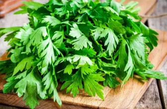 Frische Petersilie auf Holztisch mit Einkaufskorb und Liste