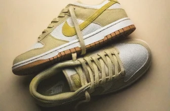 Nike WMNS Dunk Low Next Nature SE HJ5864-700 (Gr. 36 bis 42) für 62,63 € inkl. Versand (statt 82,98 €)