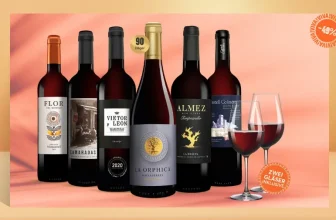 Vinos Sommer Rotwein Paket 🍷 6 Flaschen & 2 Schott Zwiesel Gläser ab 29,99€