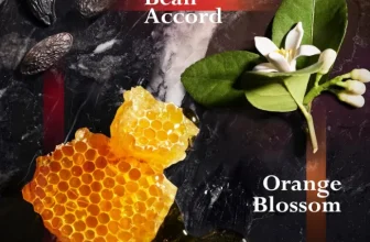 JOOP! HOMME Shower Gel (150ml) für 6,65 € inkl. Prime-Versand (statt 12,95 €)