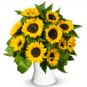 20 Sonnenblumen mit einer Länge von bis zu 50cm für 24,98€ inkl. Versand