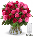Blume Ideal: 25 rot-pinke Rosen als Blumenstrauß inkl. gratis Vase für 24,98 € inkl. Versand 🌹
