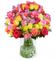 Blume Ideal: 31 Rosenglück XXL mit über 120 Blüten (Rosen & Inkalilien) für 27,98€ inkl Versand 🌹