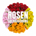 42 Rosen in Überraschungsfarben (50cm Länge) für 24,98€ inkl. Versand (statt 45€) 🌹