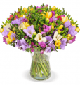 40 bunte Freesien mit bis zu 300 Blüten, 50cm Länge für 25,98 € inkl. Versand 💐