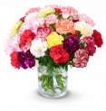 40 bunte Nelken mit XXL Blüten für 24,98€ inkl. Versand 💐