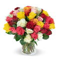 40 bunte Rosen “CRAZY IN LOVE” für 24,98€ inkl. Versand (statt 39,99€)