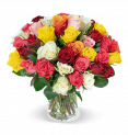 40 bunte Rosen “CRAZY IN LOVE” für 24,98€ inkl. Versand (statt 39,99€) 🌹